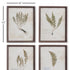 Petite Frond Prints, Set Of 4 - View 2