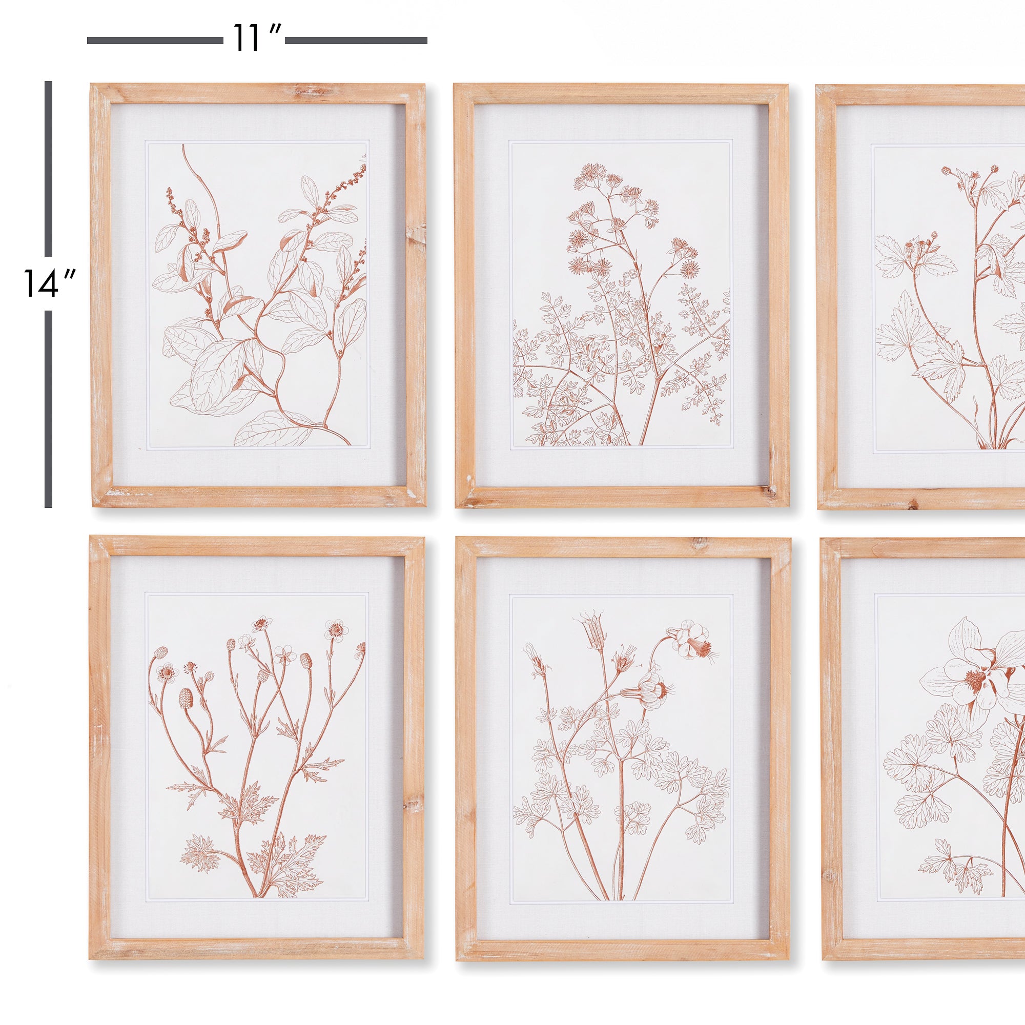 Botanicals In Blush Prints, Set Of 6 - View 3