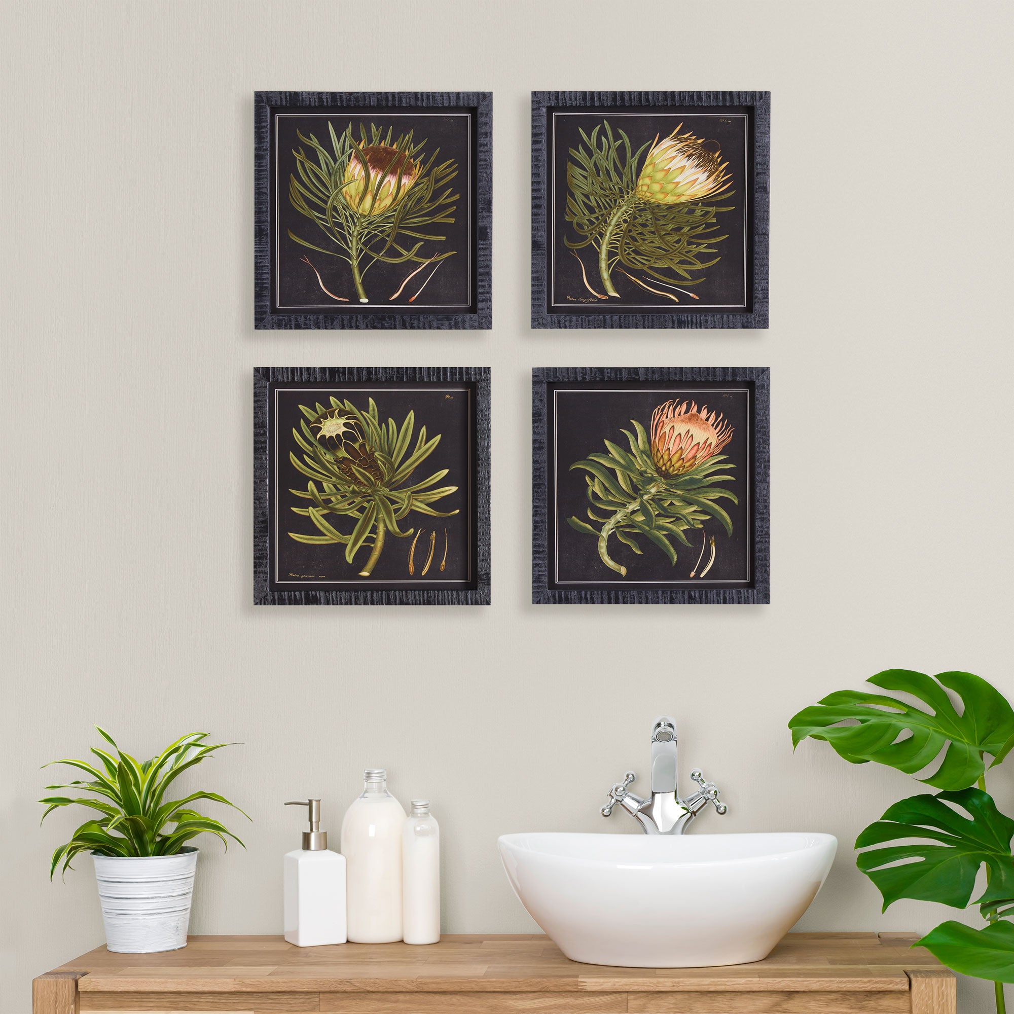 PROTEA PETITE PRINTS, SET OF 4 - view 5