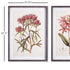 Pretty In Pink Vintage Prints, Set Of 2 - View 3