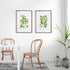 Guava Prints, Set Of 2 - View 5