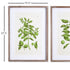 Guava Prints, Set Of 2 - View 3