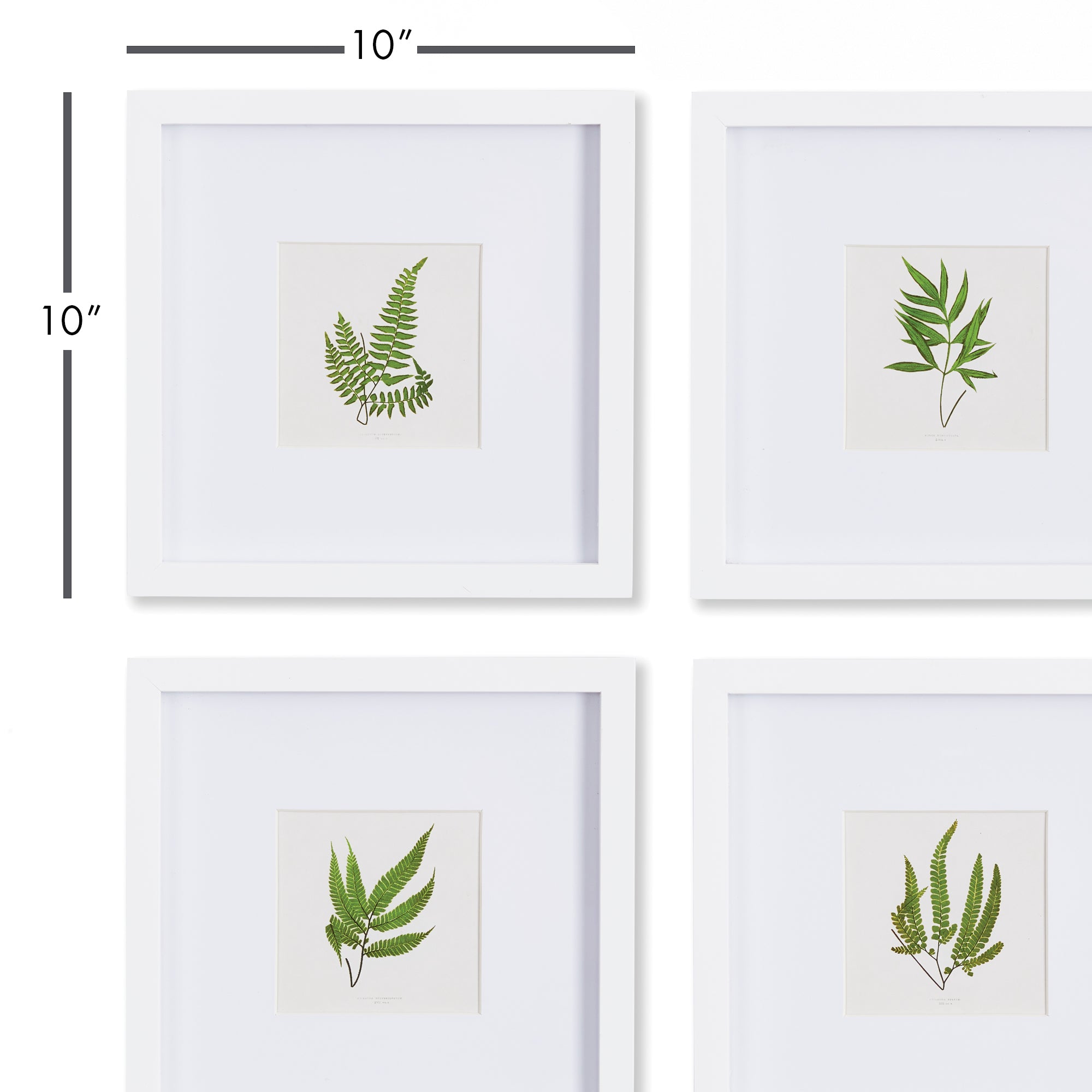Forest Greenery Petite Prints, Set Of 4 - View 3