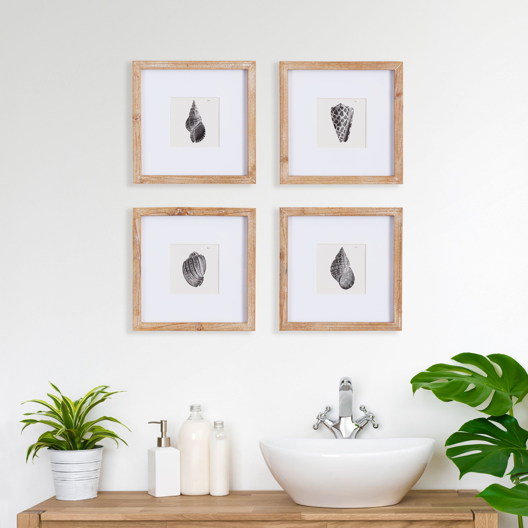 Seashell Petite Prints, Set Of 4 - View 4