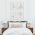 DAISY PRINTS, SET OF 4 - view 5
