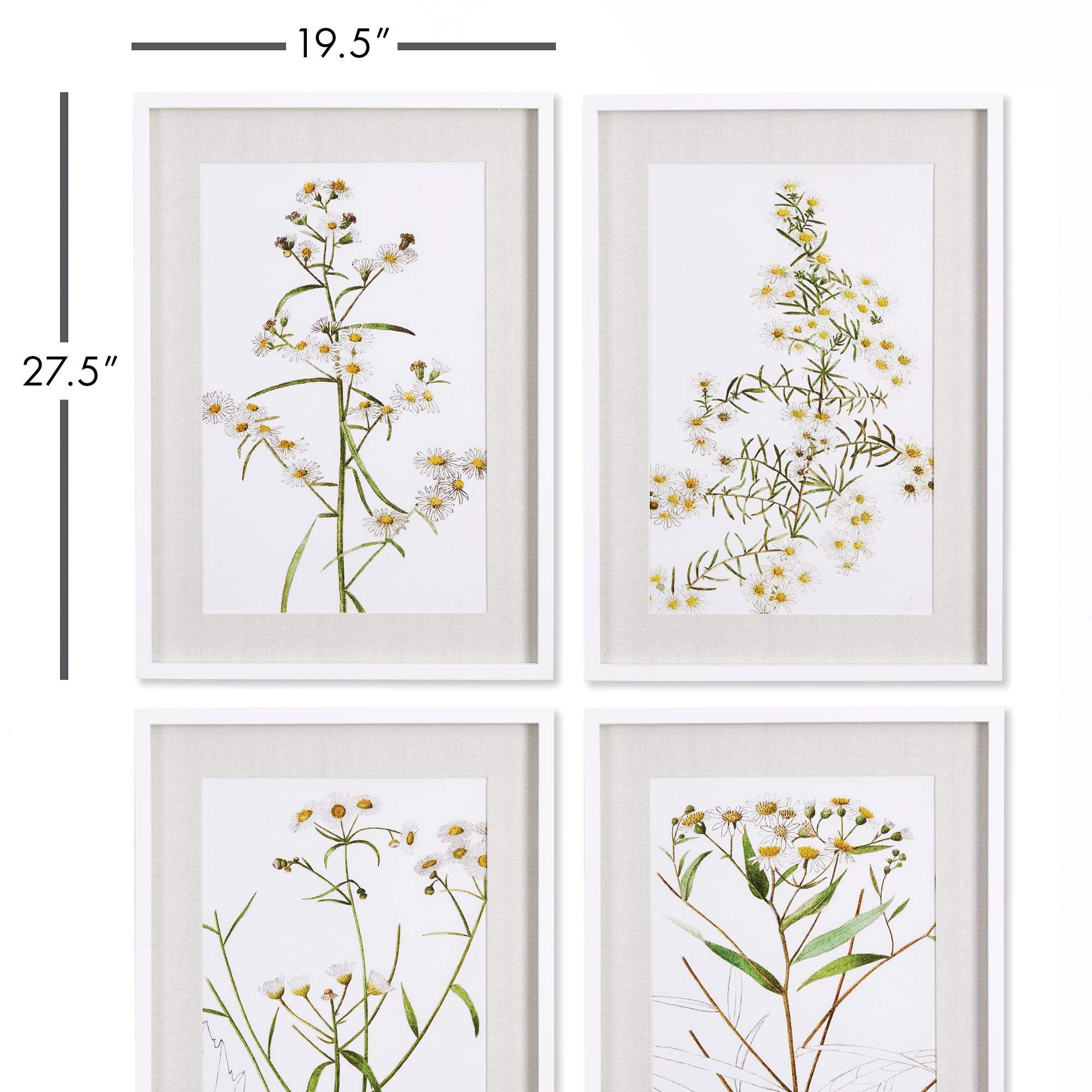 DAISY PRINTS, SET OF 4 - view 3