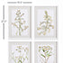 DAISY PRINTS, SET OF 4 - view 3