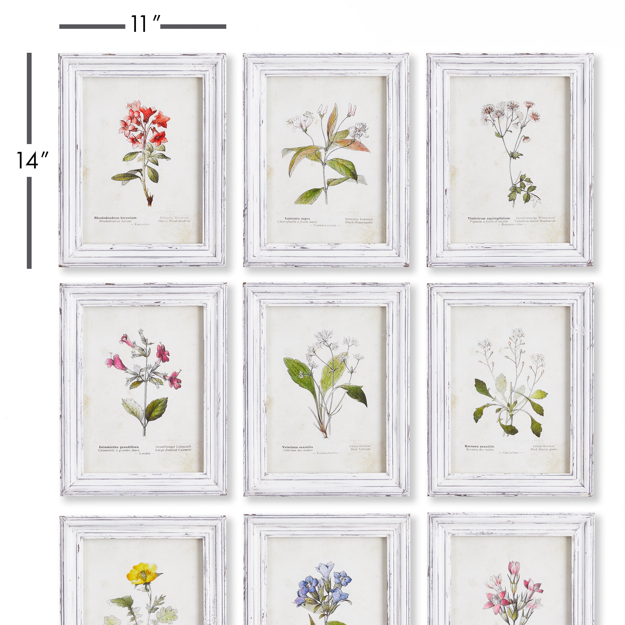 Garden Meadow Study, Set Of 9 - View 3