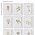 Garden Meadow Study, Set Of 9 - View 3