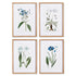 Mountain Botanical Prints, Set Of 4