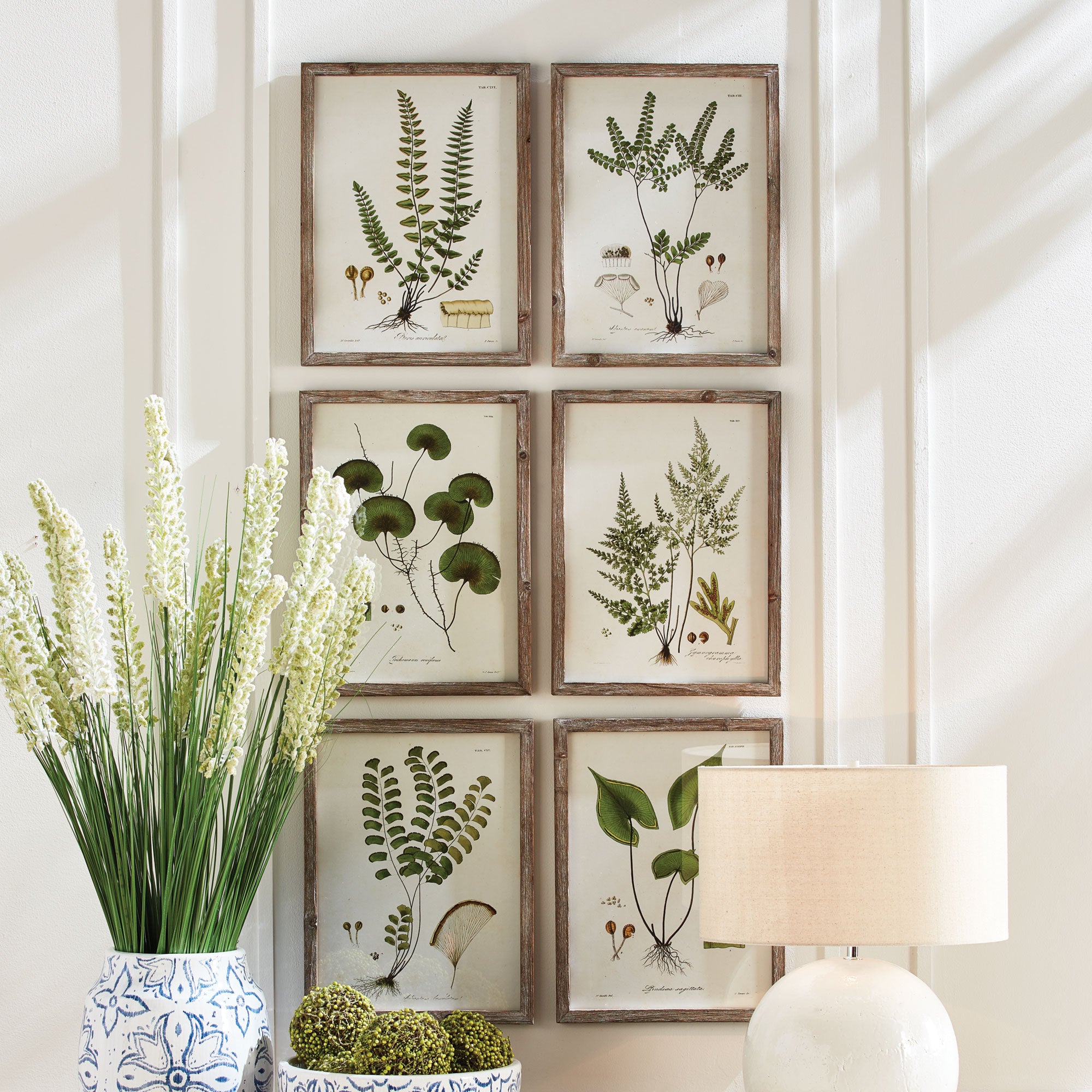 Shade Garden Study, Set Of 6 - View 4
