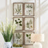 Shade Garden Study, Set Of 6 - View 4