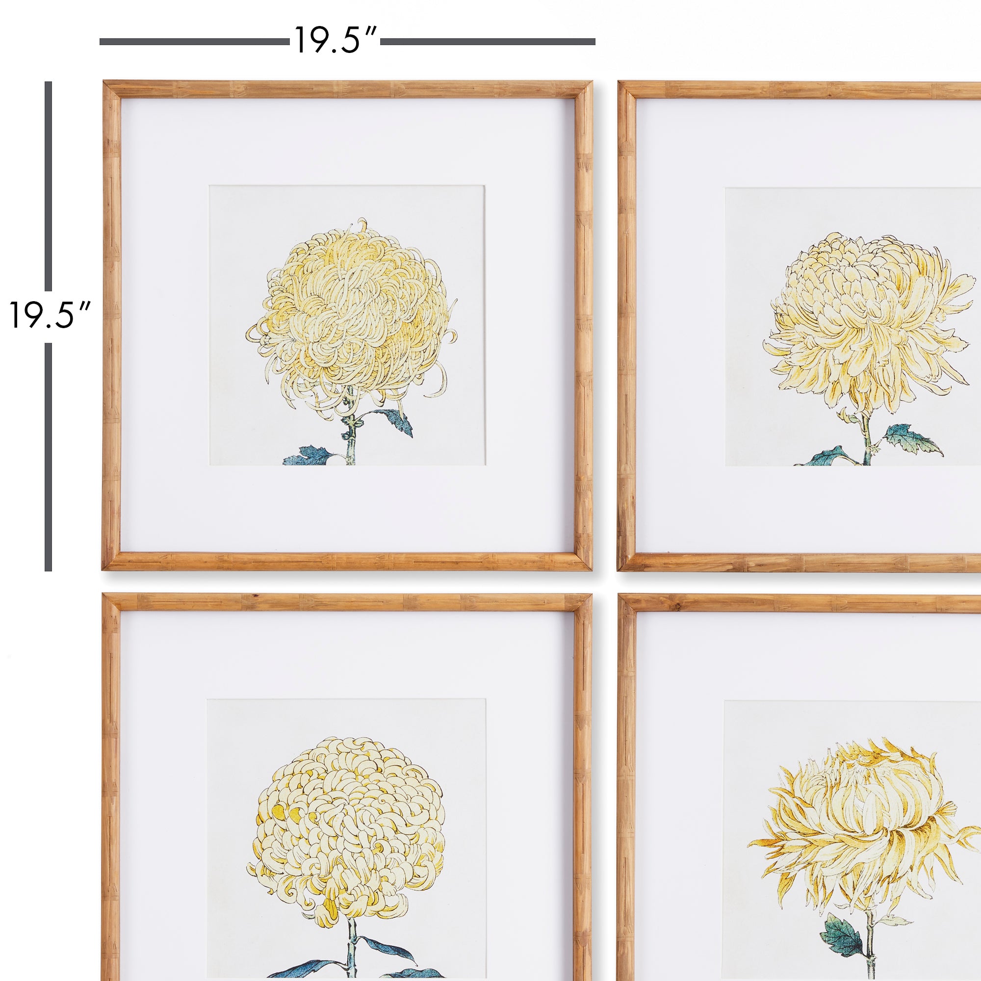 CHRYSANTHEMUM PRINTS, SET OF 4 - view 3