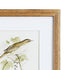 PERCHING BIRD STUDY PETITE, SET OF 4 - view 3