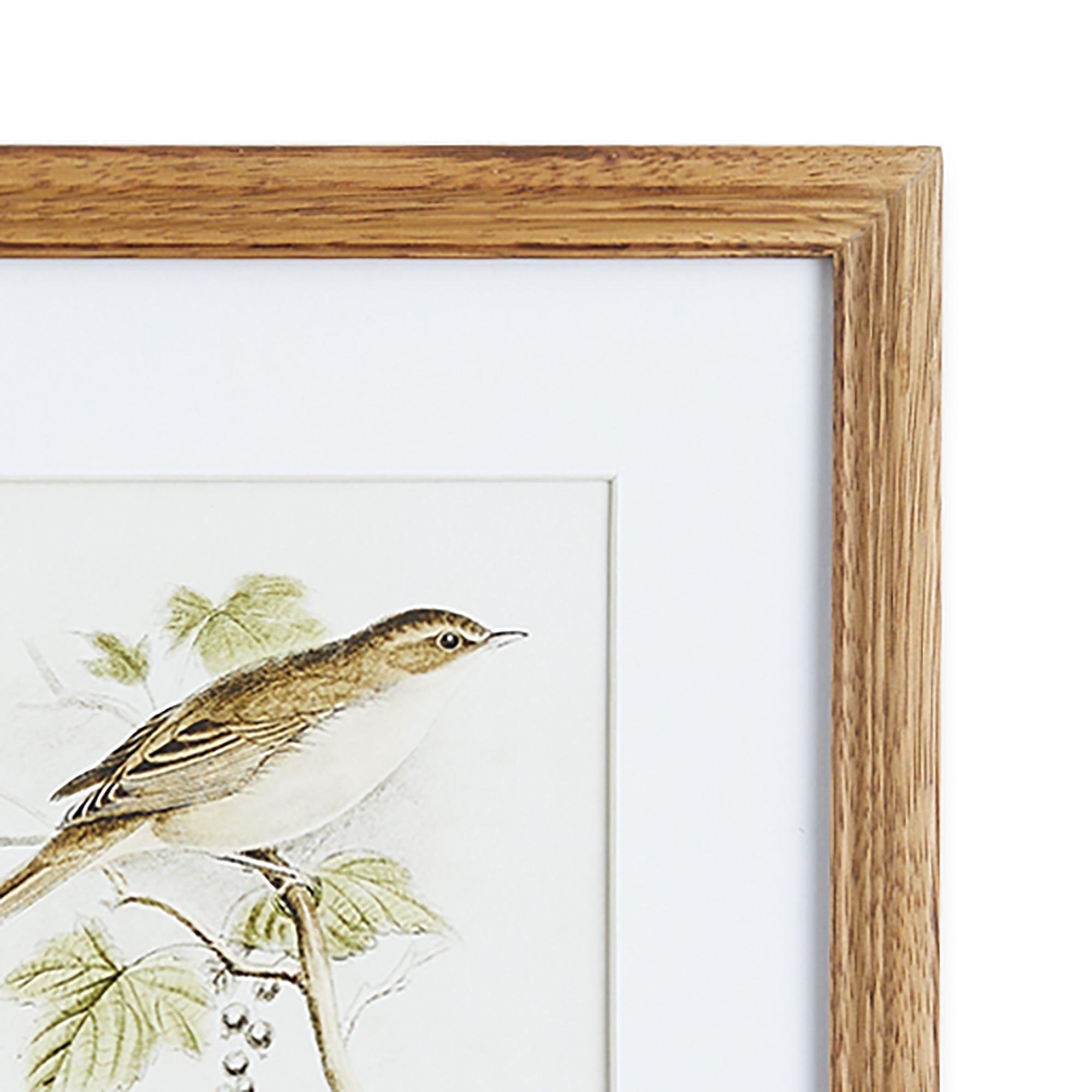 Perching Bird Study Petite, Set Of 4 - View 3