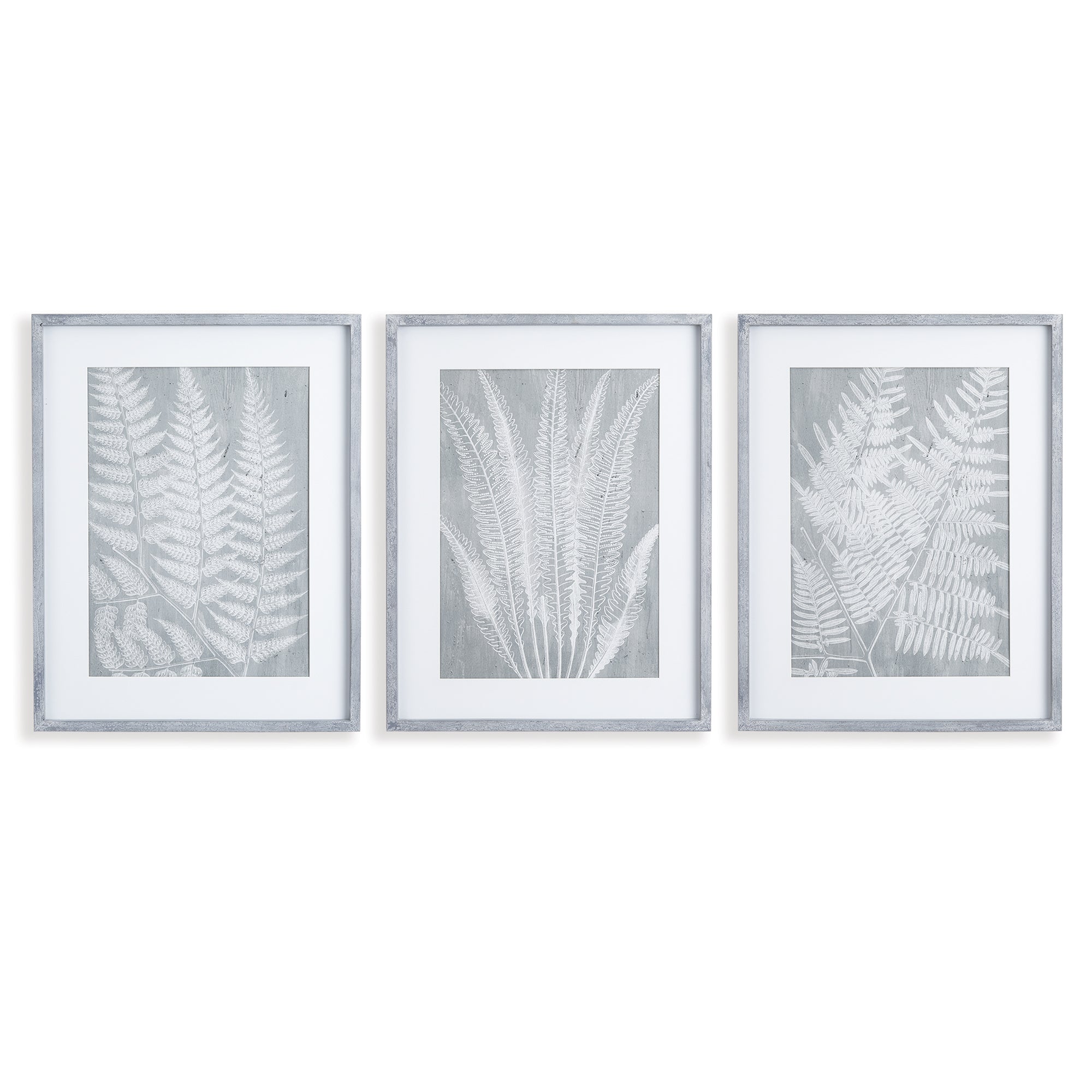 FERN FROND PRINTS, SET OF 3