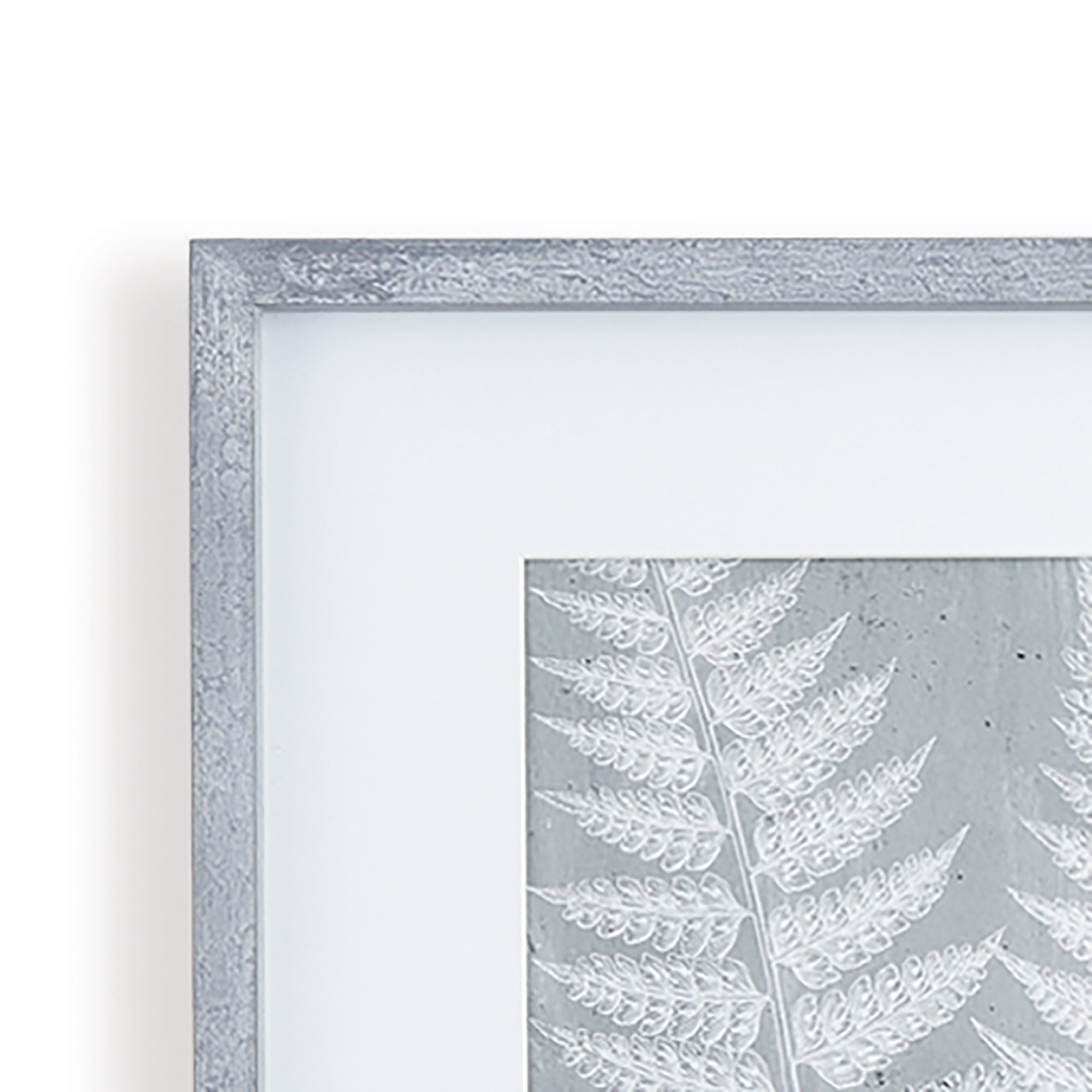 Fern Frond Prints, Set Of 3 - View 4