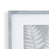 FERN FROND PRINTS, SET OF 3 - view 4