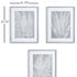 FERN FROND PRINTS, SET OF 3 - view 2