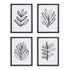 SKETCHED LEAF PRINTS, SET OF 4