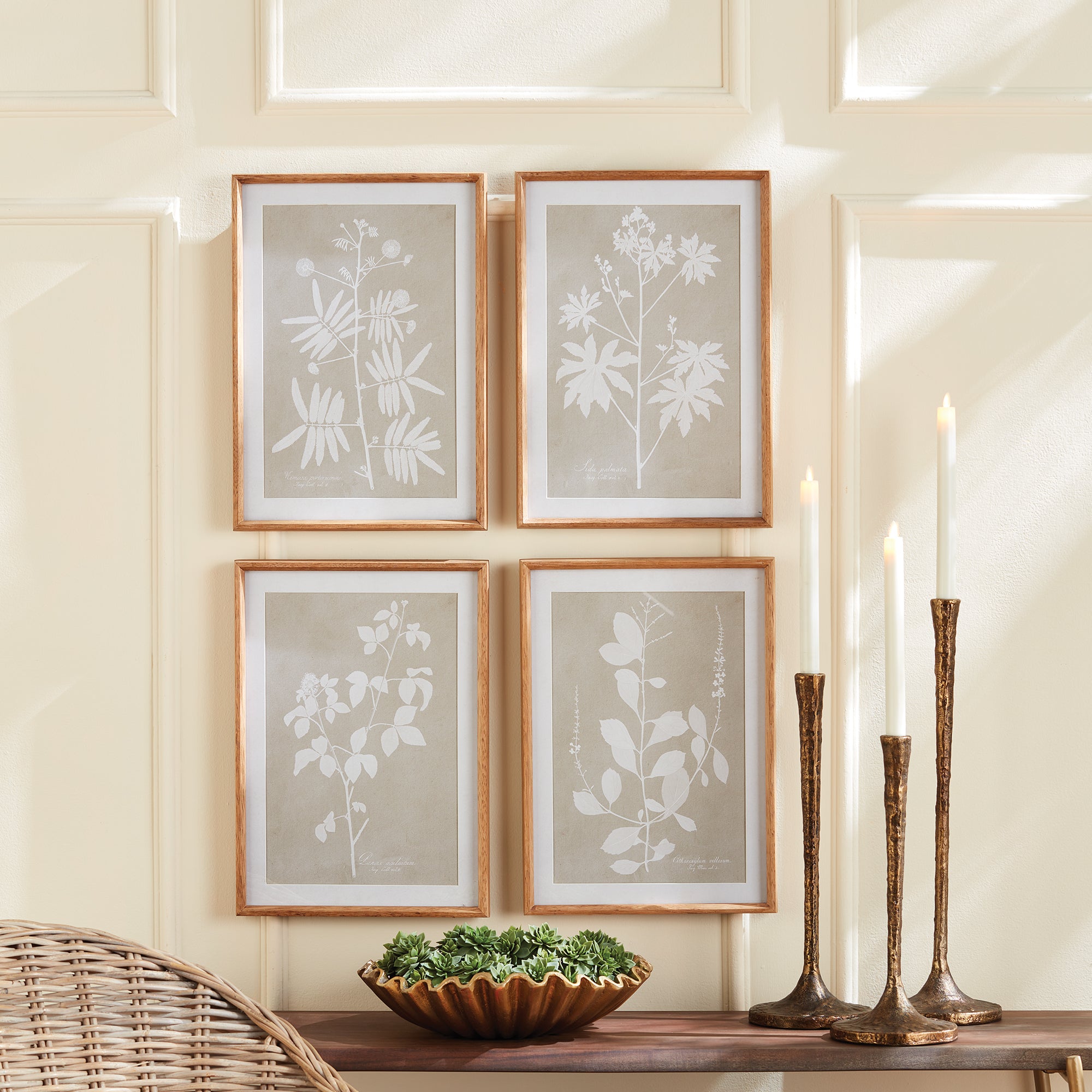 Foliage Study, Set Of 4 - View 4