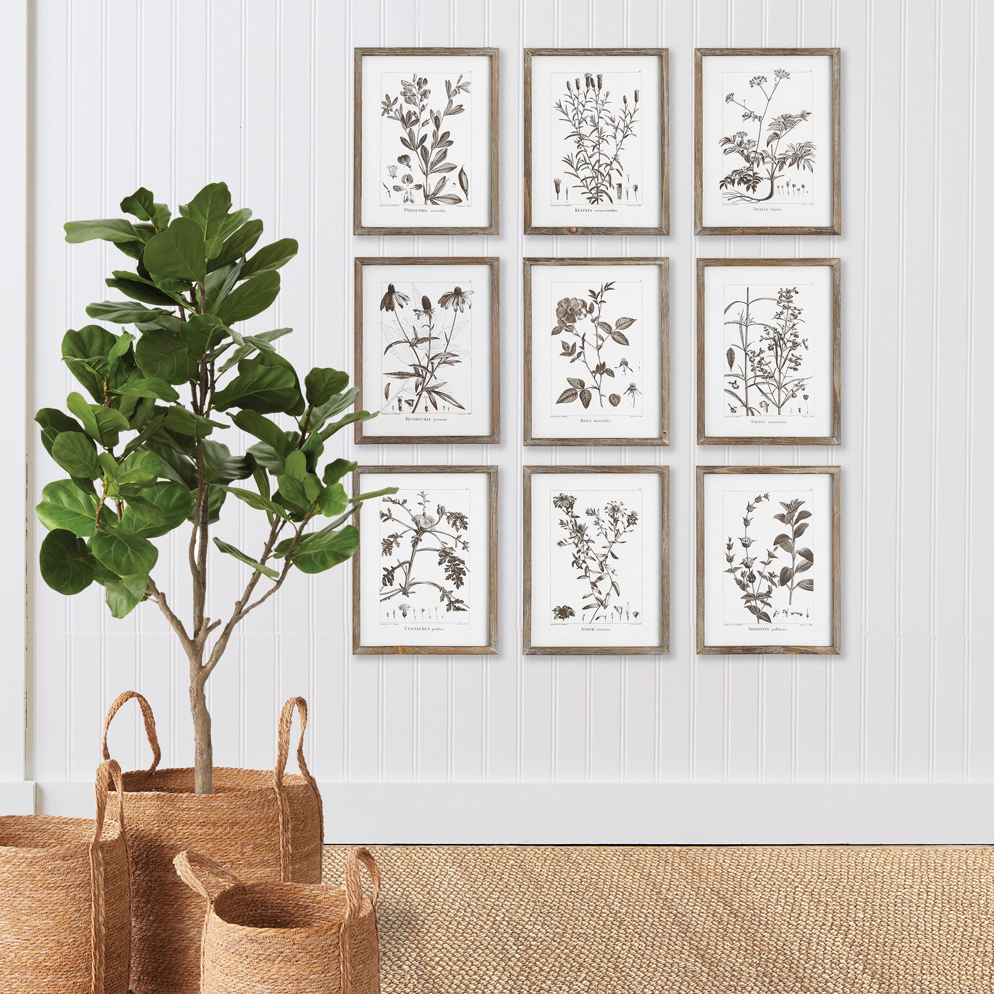 Rustic Foliage Study, Set Of 9 - View 3