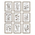 RUSTIC FOLIAGE STUDY, SET OF 9