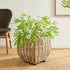 SYLVIE SQUARE TAPER BASKET LARGE - view 4