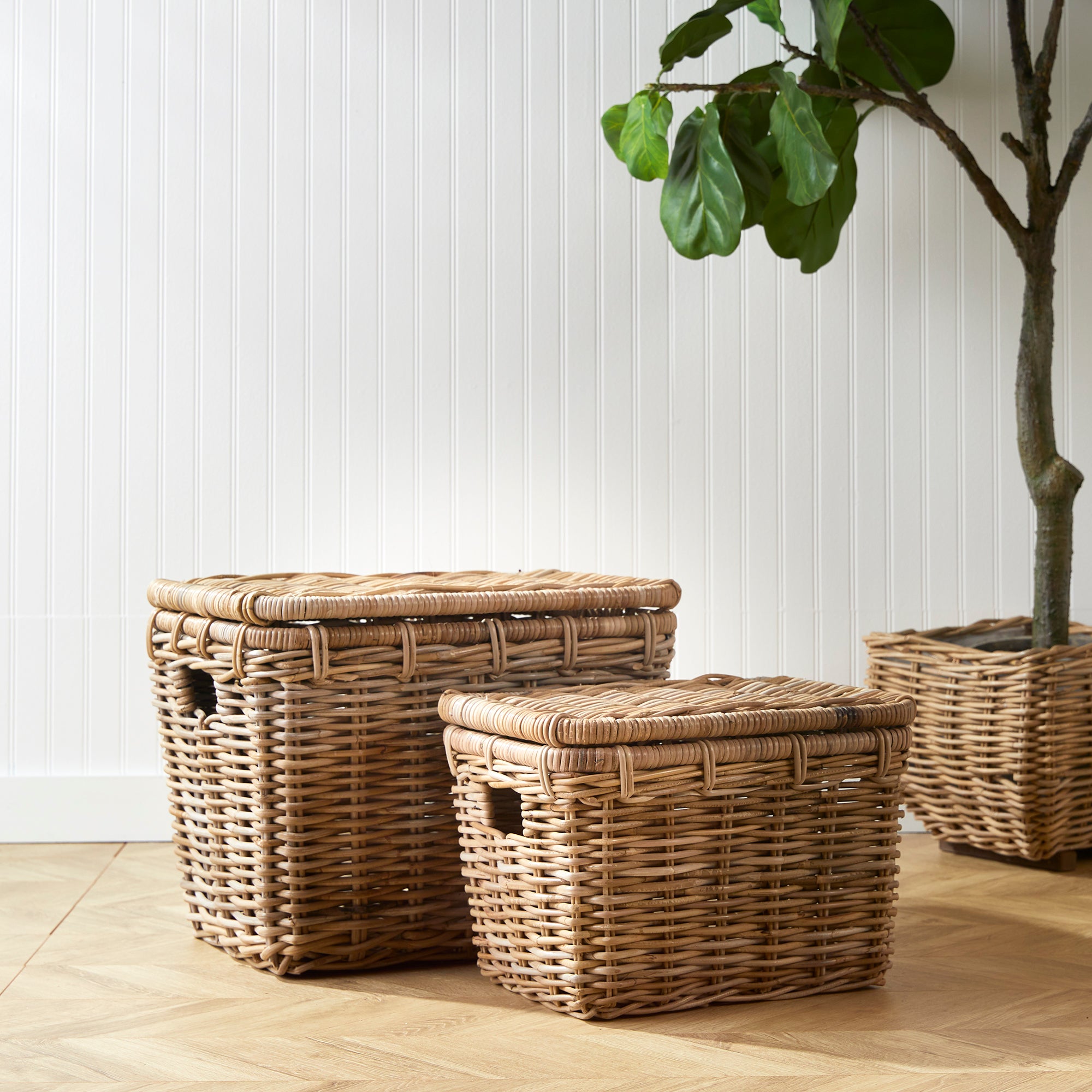 RUTHIE STORAGE TRUNKS, SET OF 2 - view 3