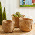 Seagrass Round Drum Baskets, Set Of 3 - View 5