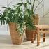 Seagrass Tall Square Planters, Set Of 2 - View 2