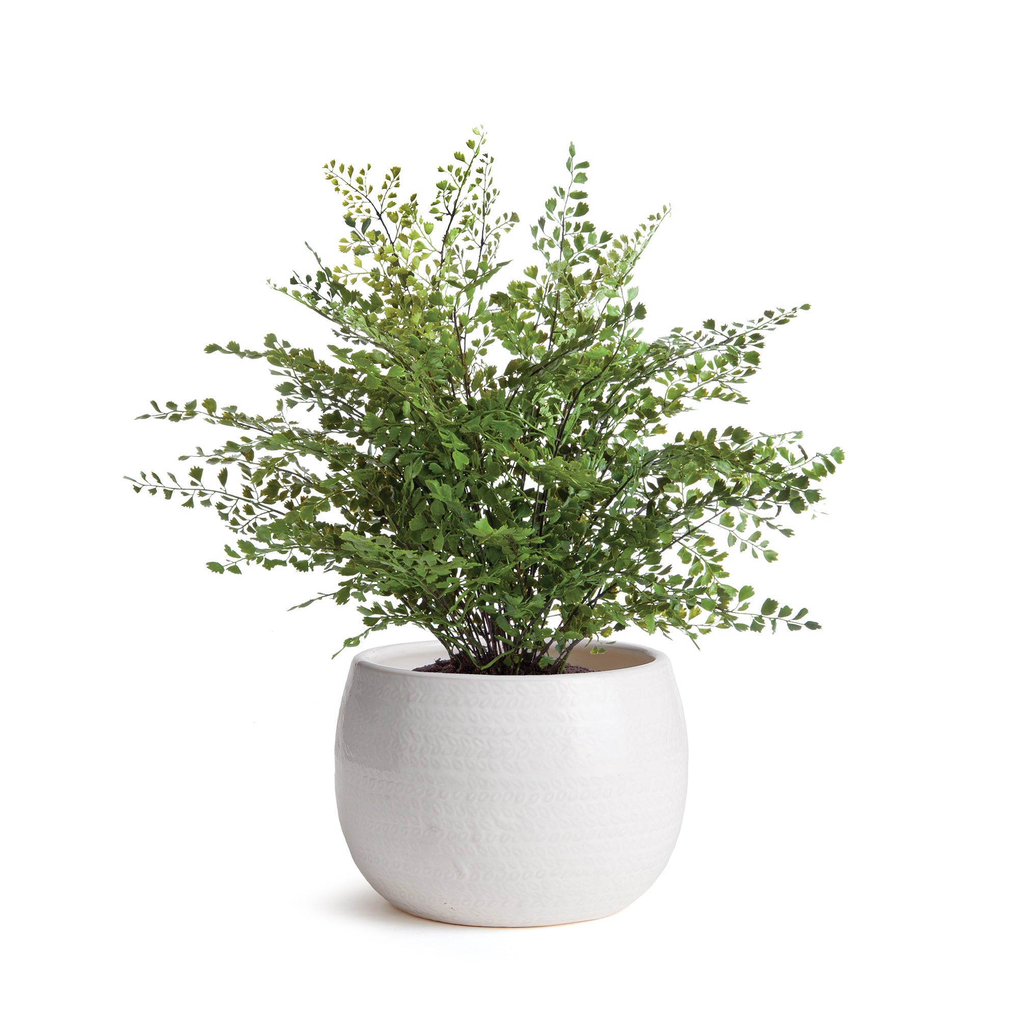 Kayla Pot Small - View 3