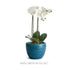 Shawna Pot Small - View 2
