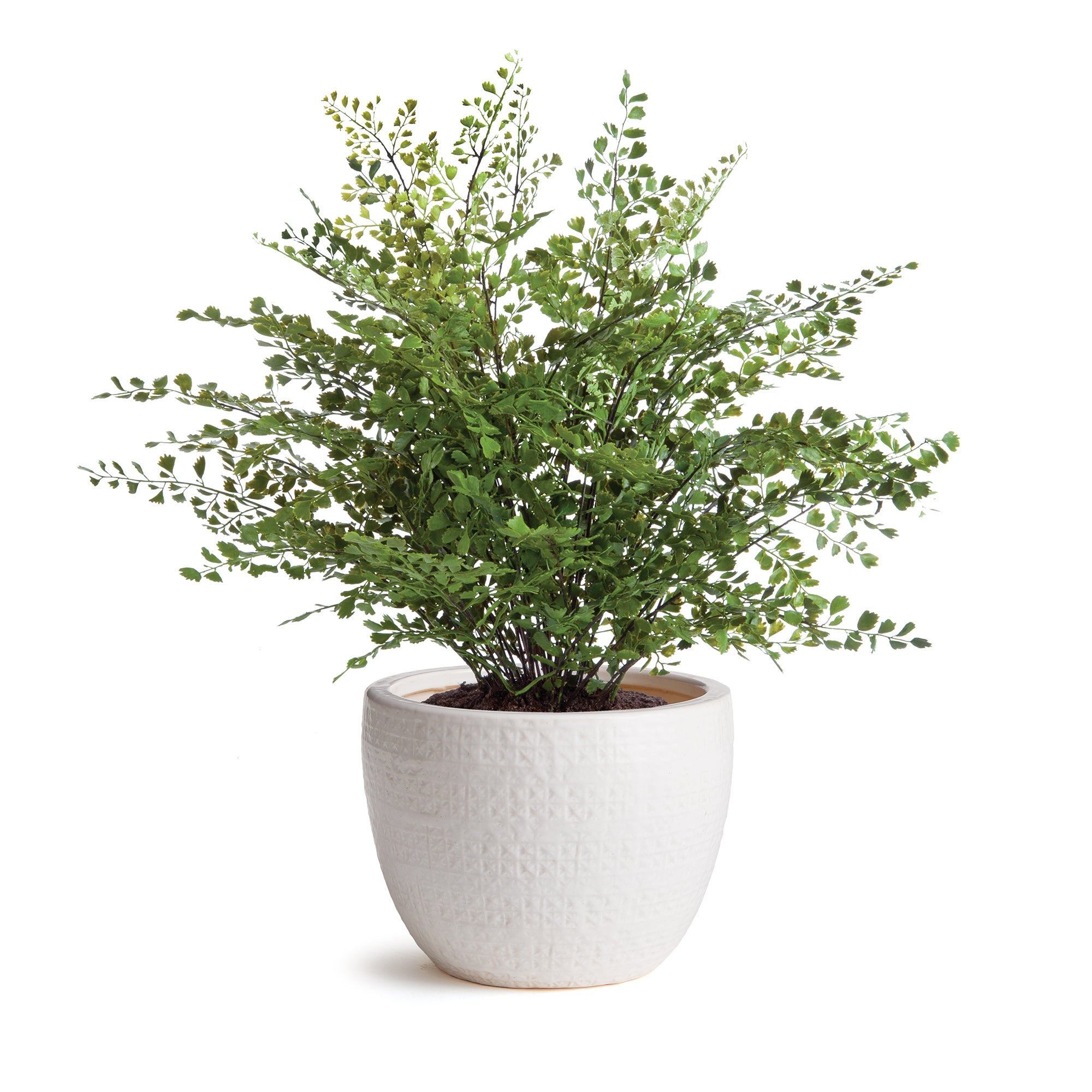 Shawna Pot Small - View 3