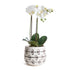 MILLIE HAND-PAINTED POT SMALL - view 3