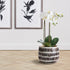 UMA HAND-PAINTED POT SMALL - view 4
