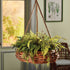 RATTAN HANGING BASKET - view 2