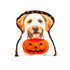 Halloween Dog Mini Pillows 6 Assorted Sold Individually - A. Dodson's