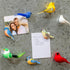 Song Bird Magnet