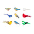 Song Bird Magnet