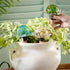 Glass Turtle Watering Globe