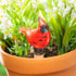 Art Glass Cardinal Watering Globe
