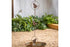 Rain Chain, Metal, Bronze Bird, 72inches