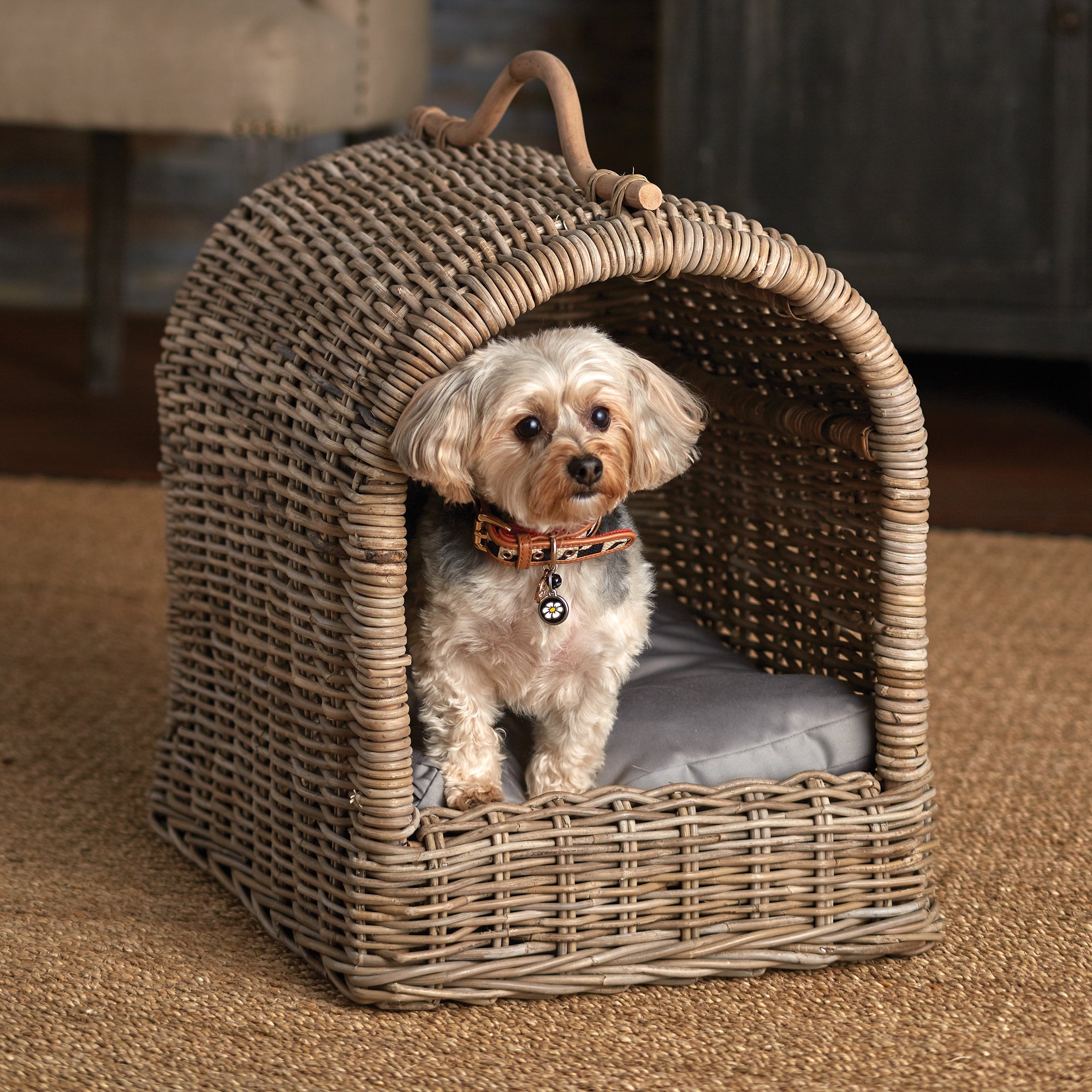 Normandy Canopy Pet Bed - View 3