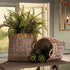 SONOMA HARVEST BASKETS, SET OF 2 - view 2