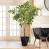 ALVERO BASKETS, SET OF 2 - view 2