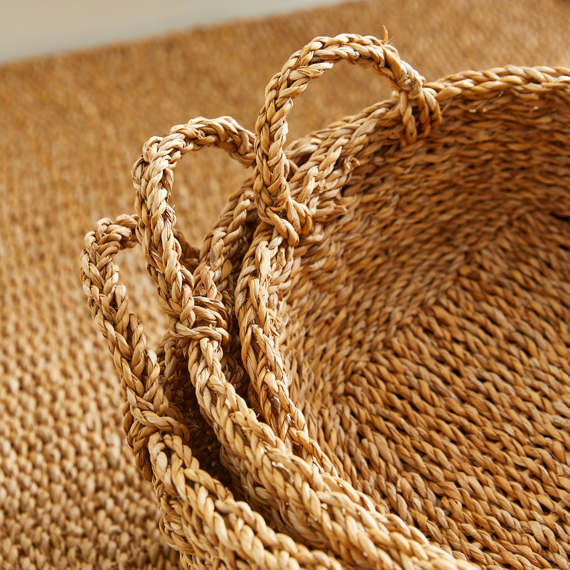 SEAGRASS SHALLOW BASKETS WITH HANDLES, SET OF 3 - view 4