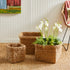 SEAGRASS SQUARE BASKETS WITH CUFFS, SET OF 3 - view 2
