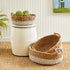 Seagrass Shallow Baskets With Handles, Set Of 3 - View 2