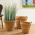 SEAGRASS TAPERED BASKETS WITH HANDLES, SET OF 3 - view 6